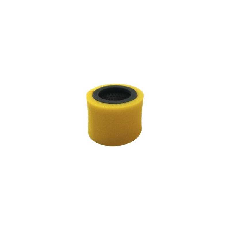 FILTRO ARIA ROBIN EC13V AG0306005 Compatibile ROBIN