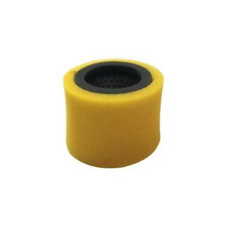 ROBIN EC13V LUFTFILTER AG0306005 Kompatibel mit ROBIN | NewgardenParts.com