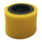 FILTRO ARIA ROBIN EC13V AG0306005 Compatibile ROBIN