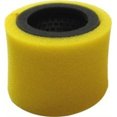 ROBIN EC13V AIR FILTER AG0306005 Compatible with ROBIN | NewgardenParts.com