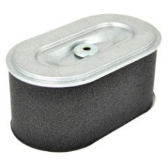 FILTRO ARIA AD.ROBIN EX27 AG0306006 Compatibile ROBIN | NewgardenParts.com