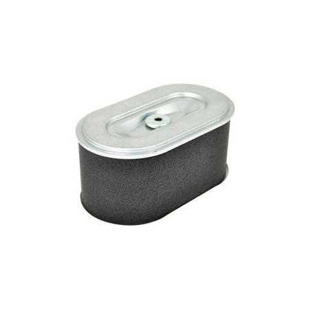 Luftfilter AD.ROBIN EX27 AG0306006 Kompatibel mit ROBIN | NewgardenParts.com
