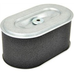 FILTRO ARIA AD.ROBIN EX27 AG0306006 Compatibile ROBIN | NewgardenParts.com