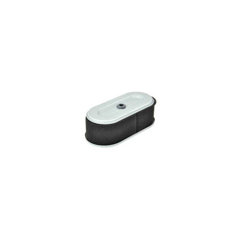 FILTER ANZEIGE ROBIN EH18V AG0306007 Kompatibel ROBIN