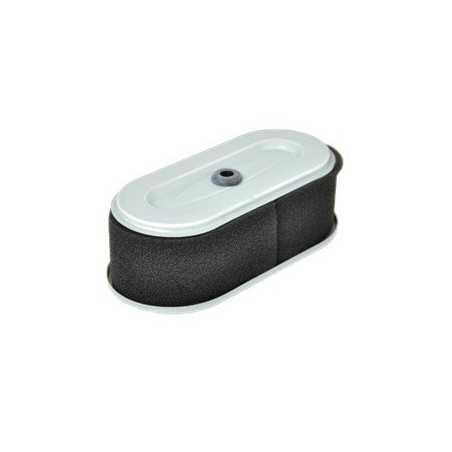 FILTER ANZEIGE ROBIN EH18V AG0306007 Kompatibel ROBIN | NewgardenParts.com