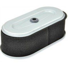 FILTRO AD. ROBIN EH18V AG0306007 Compatible ROBIN | NewgardenParts.com