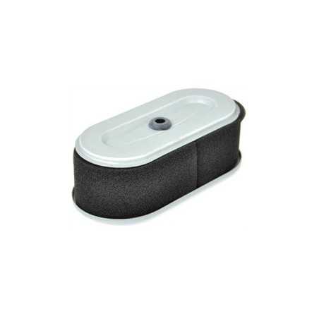 FILTER ANZEIGE ROBIN EH18V AG0306007 Kompatibel ROBIN