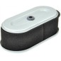 FILTRO AD. ROBIN EH18V AG0306007 Compatibile ROBIN