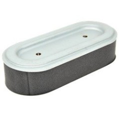 FILTER ANZEIGE. ROBIN EH34 AG0306008 Kompatibel mit ROBIN | NewgardenParts.com