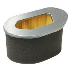Filtre à air AD.ROBIN EH36 EH41 AG0306010 Compatible ROBIN | NewgardenParts.com