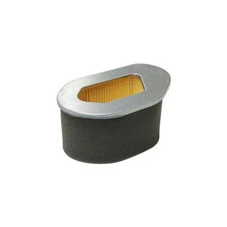 Luftfilter AD.ROBIN EH36 EH41 AG0306010 Kompatibel mit ROBIN | NewgardenParts.com