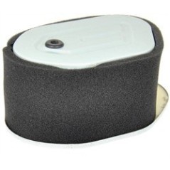 FILTRO ARIA AD.ROBIN EH36 EH41 AG0306010 Compatibile ROBIN | NewgardenParts.com