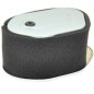 FILTRO DE AIRE AD.ROBIN EH36 EH41 AG0306010 Compatible ROBIN