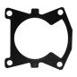 ST 201 AG2200064 GASKET SET Compatible with STIHL