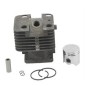 Kit C+P STIHL BT120 AG2205109 Compatible STIHL