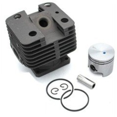 Kit C+P STIHL FS250 AG2205111 Compatible STIHL