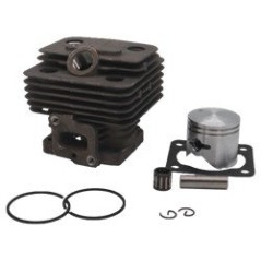CILINDRO + P 26CC GK026, TU261 AG2205128 Compatible GREENCUTTER | NewgardenParts.com