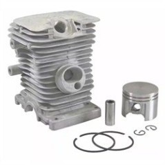C+P KIT ADAPTING STIHL MS170 AG2205085 Compatible STIHL | NewgardenParts.com