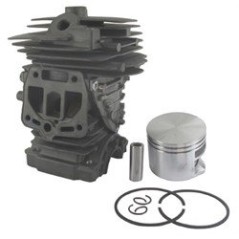 Kit C+P STIHL MS251 AG2205123 Compatible STIHL | NewgardenParts.com