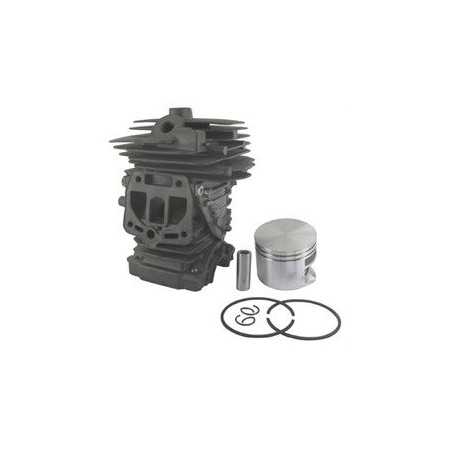 KIT C+P STIHL MS251 AG2205123 Compatible STIHL | NewgardenParts.com