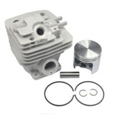 C+P KIT ADAPTING STIHL MS361 AG2205087 Compatible STIHL | NewgardenParts.com