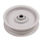 ADAPTADOR DE POLEA PLANA HSQ 532104679 AG2030026 Compatible AYP