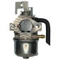 ROBIN EH12 EH122 VERGASER ROBIN ADAPTIBEL AG0440127 Kompatibel mit ROBIN