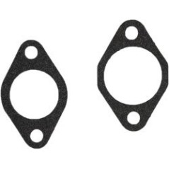 CARBURATEUR ROBIN EX30 ADAPTABLE AG0440142 Compatible ROBIN | NewgardenParts.com