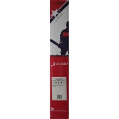 BARRA P 16(40CM)3/8 0.50(1,3MM)T095 AG411691095 Compatible | NewgardenParts.com