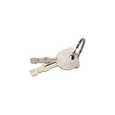 STARTER KEY FOR AG 0214011 AG0214994 Compatible | NewgardenParts.com