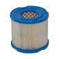 FILTRO ARIA EX390930(4106 PZ 4) Vanguard orizzontale con serbatoio 393957S Compatibile