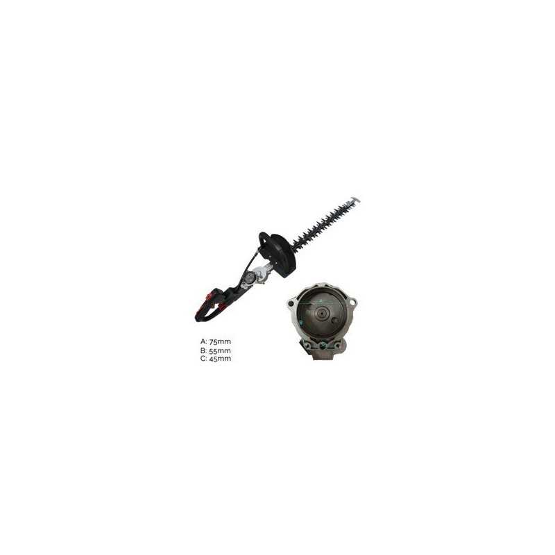 Ensemble complet de taille-haie AG0590022 compatible