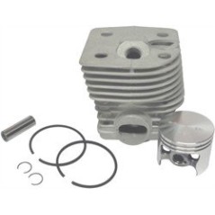 ST FS420 Zylinderkit AG2205070 kompatibel | NewgardenParts.com