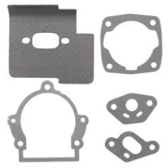 1E31F SERIE GUARN. DECE 31CC AG2200017 Compatibile | NewgardenParts.com