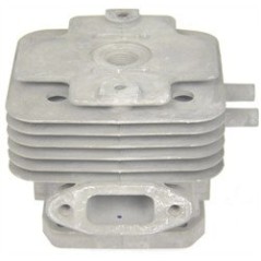 CILINDRO MOTORE TJ53 KS110050679 Originale Kawasaki | NewgardenParts.com