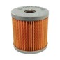 Original Lombardini 273 LDA ALO312175009 Kraftstofffilter