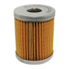 Original Lombardini LDA ALO312175032 Fuel Filter | NewgardenParts.com