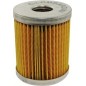 Original Lombardini LDA ALO312175032 Fuel Filter