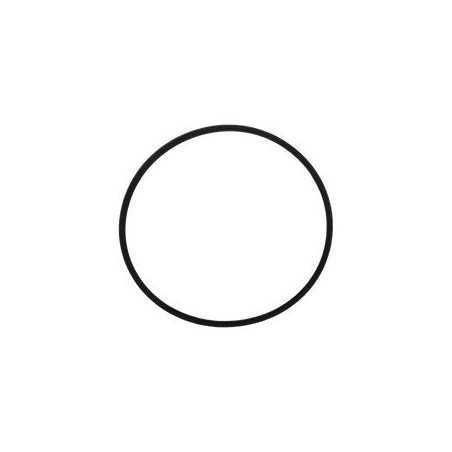 CARBURETOR BOWL GASKET KS110617009 Original Kawasaki | NewgardenParts.com