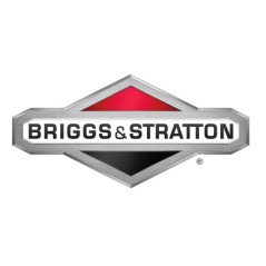 Albero farfalla ORIGINALE BRIGGS & STRATTON 497230 | NewgardenParts.com