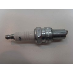 Candela Champion motore rasaerba tosaerba tagliaerba N4C 240105 | NewgardenParts.com