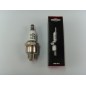 Candela Champion rasaerba  J19LM 240101 originale Briggs 10 pezzi in scatola