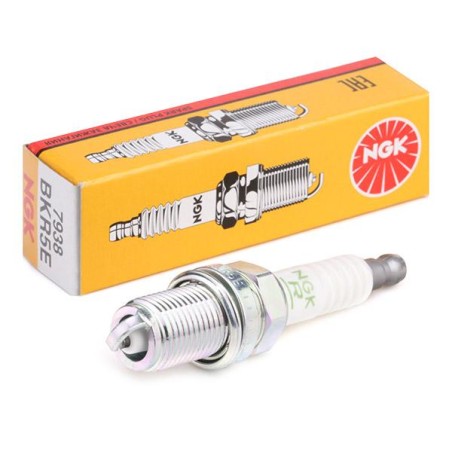 Candela di accensione motore benzina trattorino rasaerba NGK 11-332 BKR5E | NewgardenParts.com