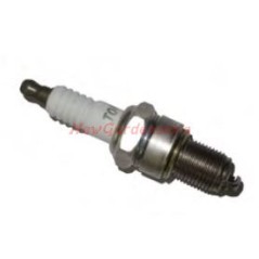 Candela HONDA per tagliaerba tosaerba rasaerba GX160/200/240/270 B05.01.300 | NewgardenParts.com