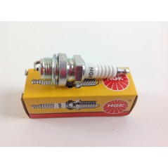 Candela NGK AB2 per motore a benzina 11-284 | NewgardenParts.com