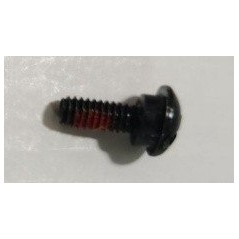 Vis M4x10 MARQUE ORIGINALE SUNSEEKER 16600846-01 | NewgardenParts.com