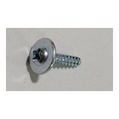 Screw ST2.9×12-F ORIGINAL Sunseeker 16600883-05 | NewgardenParts.com