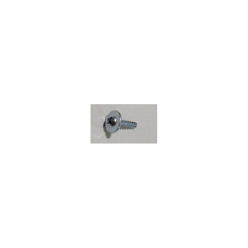 Screw ST2.9×12-F ORIGINAL Sunseeker 16600883-05