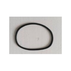 Anello di tenuta del coperchio del pacco batteria ORIGINALE Sunseeker 16600916-02 | NewgardenParts.com