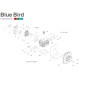 LAMELLE DI ASPIRAZIONE N44/61E 511670 ORIGINALE BLUE BIRD